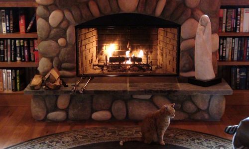 Wood Fireplace with log lighter